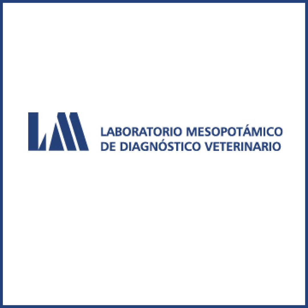 LABORATORIO MESOPOTAMICO